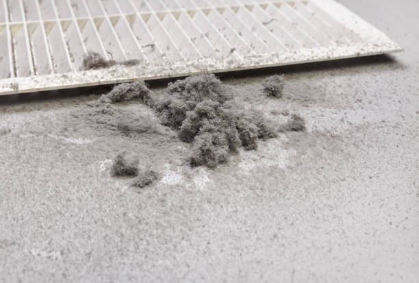 Best Commercial Air Duct Cleaning  in Sangaree, SC